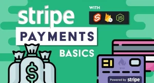 Main Rules of the Stripe Payment System